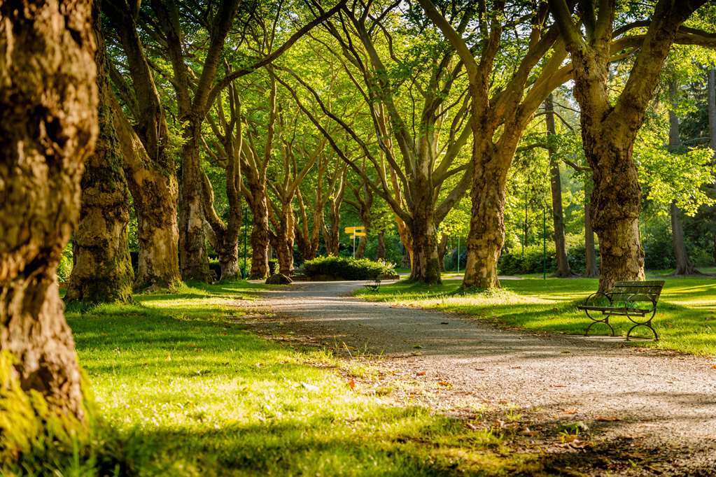 ホテル Chateau Du Bois-Guy Golf Parigné エクステリア 写真